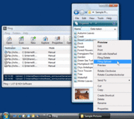 Fling FTP Software screenshot